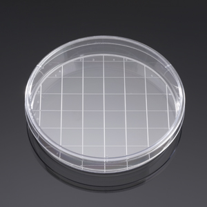 Corning® BioCoat™ Poly-D-Lysine 150mm TC-Treated Gridded Culture Dishes, 5/Pack, 5/Case, Nonsterile