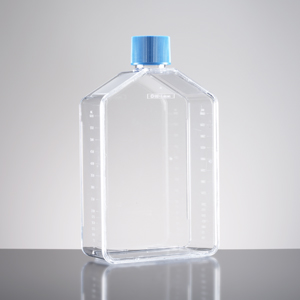 Corning® BioCoat™ Poly-D-Lysine 175cm² Rectangular Straight Neck Cell Culture Flask with Vented  Cap