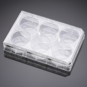 Corning® BioCoat™ Poly-L-Lysine 6 Well Clear Flat Bottom TC-Treated Multiwell Plate, with Lid, 5/Cas