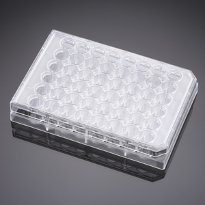 Corning® BioCoat™ Poly-D-Lysine 48 Well Clear Flat Bottom TC-Treated Multiwell Plate, with Lid, 5/Ca