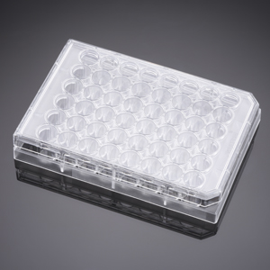 Corning® BioCoat™ Laminin 48 Well Clear Flat Bottom TC-Treated Multiwell Plate, with Lid, 5/Case 已停产