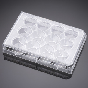 Corning® BioCoat™ Laminin 12 Well Clear Flat Bottom TC-Treated Multiwell Plate, with Lid, Sterile,