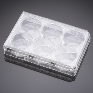 Corning® BioCoat™ Collagen IV 6 Well Clear Flat Bottom TC-Treated Multiwell Plate, with Lid, 5/Case