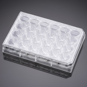 Corning® BioCoat™ Collagen I 24 Well Clear Flat Bottom TC-Treated Multiwell Plate with Lid, 5/Case