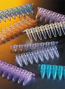 PCR 8孔排管 彩色 未灭菌;Thermowell® GOLD 0.2mL Polypropylene PCR Tubes, 8 Well Strips, Assorted Colors