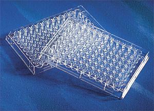 96孔板，UV-透明平底，未灭菌，25个/包，2包/箱;Corning® 96 Well Clear Flat Bottom UV-Transparent Microplate, 25 per Bag