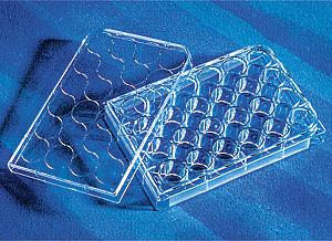 24孔细胞标准培养板，TC表面，单独或单个成套包装，带盖，灭菌 1个/包，50包/箱;Costar 24 Well Clear, Tissue Culture-Treated  Multiple We