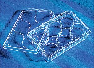 6孔细胞标准培养板 TC表面 单独或单个成套包装;Costar 6 Well Clear, Tissue Culture-Treated Multiple Well Plates with Lid,