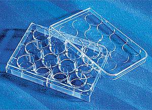 12孔透明标准板, TC表面, 灭菌, 单独包装, 1个/包, 50包/箱;Costar 12 Well  Clear Tissue Culture-Treated Multiple Well Pla