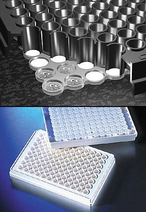 96孔FiltrEX滤板，白色，PS（聚苯乙烯），0.2um孔径PVDF（聚偏氟乙烯）亲水膜，灭菌，10个/包，5包/箱;FiltrEX™ 96 Well Filter Plates with 0.2