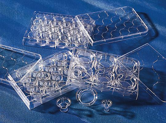 Transwell-膜嵌套，透明，12mm直径，3.0um孔径PE（聚酯）膜，灭菌，12个/包，4包/箱；该产品不拆零出售;停产 不销售