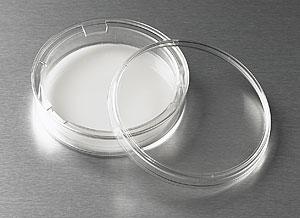 Transwell-膜嵌套，75mm膜直径，3.0um，PC（聚碳酸酯）膜，TC表面，灭菌，1个/包，12包/箱;Costar 75mm Transwell Permeable Support wit