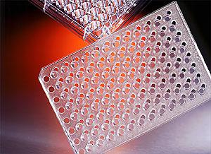 HTS Transwell-96 3.0um孔径PC(聚碳酸酯）膜 带盖接收板 单独包装;Corning HTS Transwell-96 Permeable Support with 3.0µm P
