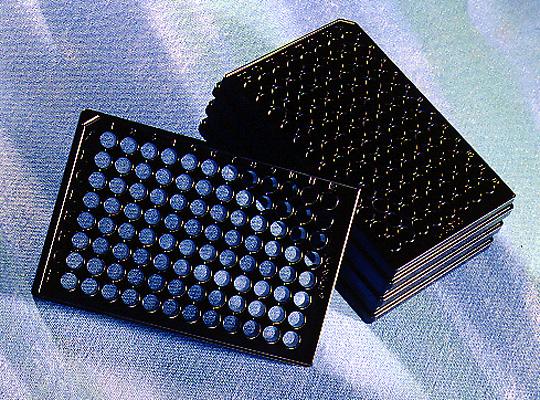 96孔板，透明，平底，CellBIND表面;Corning CellBIND 96 Well Flat Clear Bottom Black Polystyrene Microplates, with