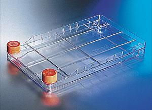 CellSTACK HDPE 盖子,33mm，3/8in;Corning CellSTACK, 1-layer Polystyrene vessel with Vent Caps, CellBIND