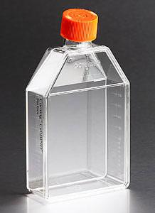 培养瓶，75cm2，透气盖，CellBIND表面，灭菌，5个/包，20包/箱；该产品不拆零出售;停产 不销售