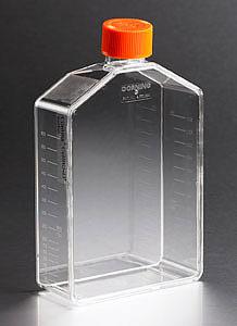 培养瓶，175cm2，透气盖，CellBIND表面，灭菌;Corning® CellBIND® 175cm² Angled Neck Cell Culture Flask with Vent Cap