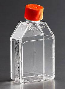 培养瓶，25cm2，透气盖，CellBIND表面，灭菌;Corning® CellBIND® 25cm² Rectangular Canted Neck Cell Culture Flask with