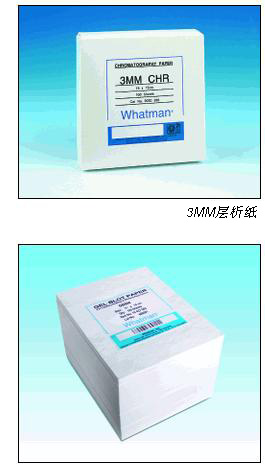 Whatman Grade GB005印迹滤纸200x200MM10426981