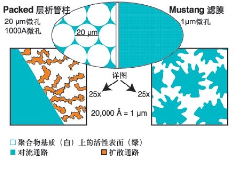 PALL除内毒素离子交换膜针头式过滤器MSTG25E3