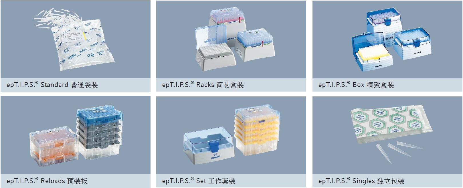 艾本德Eppendorf标准型epT.I.P.S. 移液吸头