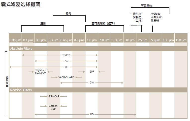 美国Whatman 沃特曼 囊式滤器 Polycap 75 HD6703-7550