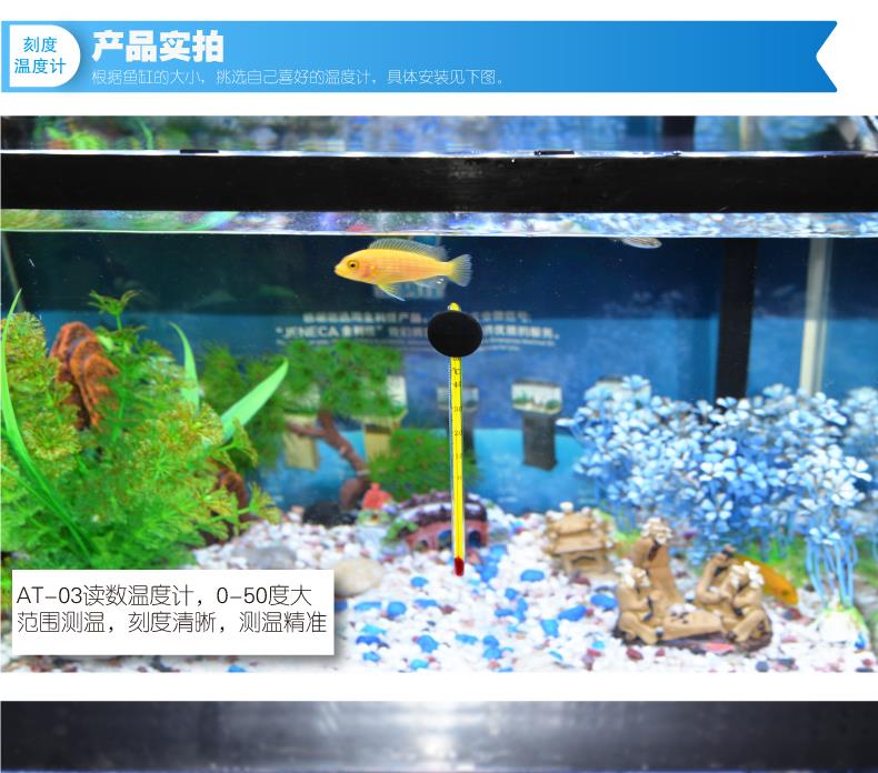 AT-03_鱼缸温度计_0-50°