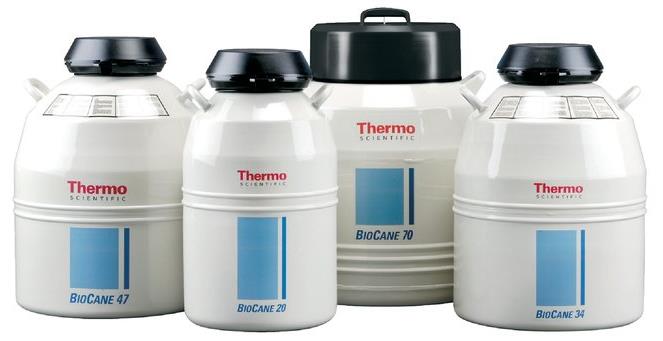 热电/Thermofisher_CK509X6_Bio-Cane™液氮罐_BioCane 73  73升液氮罐