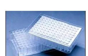 沃特曼/whatman_7700-1101_UNIFILTER 384孔过滤微孔板_100uL  DYE TERM 50/PK