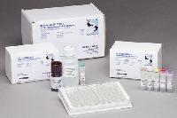 沃特曼/whatman_WB120238_FTA血液采集试剂盒_用于DNA标准样品采集  50/PK