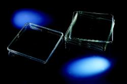 能肯/NUNC_166508_培养皿NunclonTM_聚苯乙烯  培养面积500cm2 无菌 带盖   16个/箱