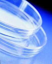 热电/Thermofisher_101VRED_90mm培养皿_聚苯乙烯 3个透气环 红色 20个/包 500个/箱