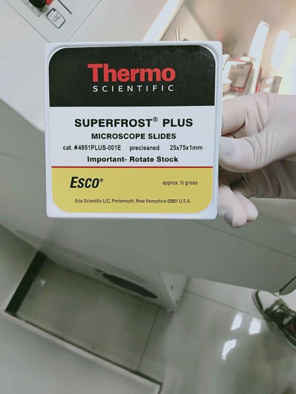 热电/Thermofisher_4951PLUS-001E_载玻片_25*75*1mm