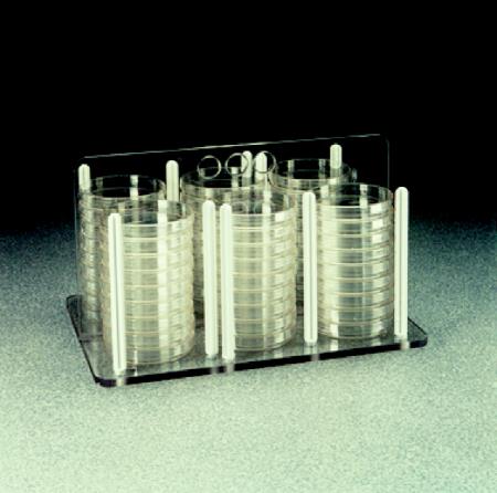 耐洁/Nalgene_5920-0060PK_细菌培养皿架_PC  白色聚碳酸酯柱 Lx Hx W.cm  34.3x 23.5x 20.3   2个/箱