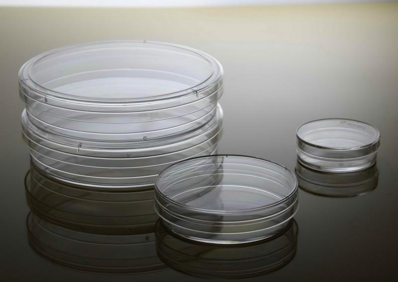 贝兰伯/Bioland_CCD06N-150PK_Bioland™ 悬浮细胞培养皿_悬浮细胞培养皿；150x25mm；5个/包