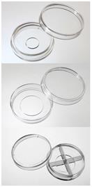 贝兰伯/Bioland_CDG35-20-4_Bioland™ 玻底培养皿_皿直径：35mm；玻底直径：20mm；四分格；10个/包