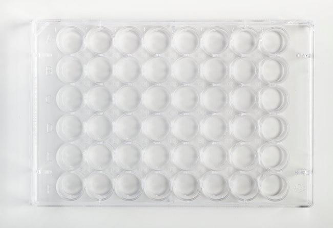 Fisherbrand_FB012930_细胞培养板_48 孔贴壁细胞培养板 1/包 100/箱