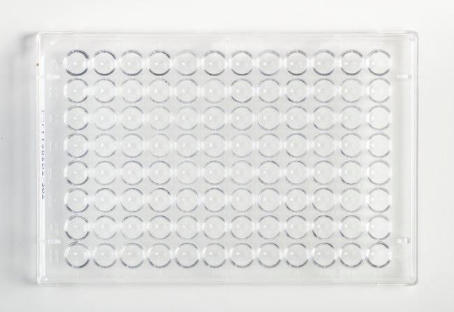 Fisherbrand_FB012932_细胞培养板_96U 孔贴壁细胞培养板 1/包 100/箱
