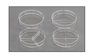 耐思/NEST_752004_细菌培养皿_90x15 mm 培养皿（10个套装）10个/包，50包/箱