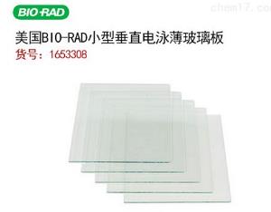 1653308_伯乐bio-rad 电泳短玻璃板 短玻璃板制胶板_5个/盒，10.1*7.3cm