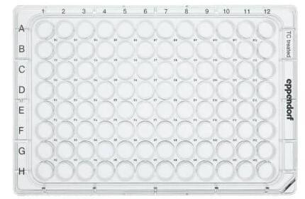 Eppendorf/艾本德_0030730119_细胞培养板_96孔  TC处理 带盖 平底 独立包装 无菌 无细胞毒性