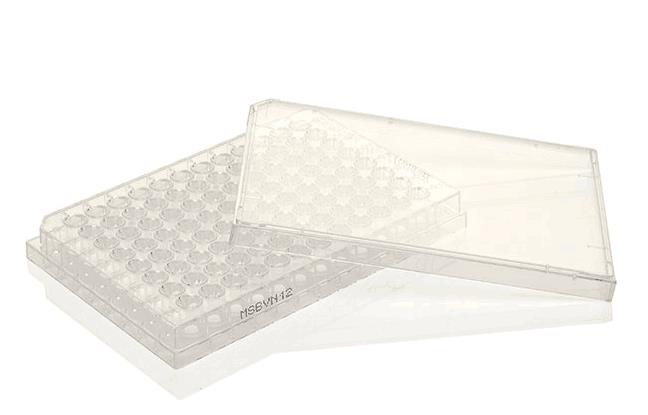 EPX-88888-000_PROCARTAPLEX FILTER PLATE 96 WELL 微孔板_96孔