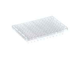 Thermo Scientific_AB0900W_PCR Plate, 96-well, segmented, semi-skirted, white  pcr板_25 plates