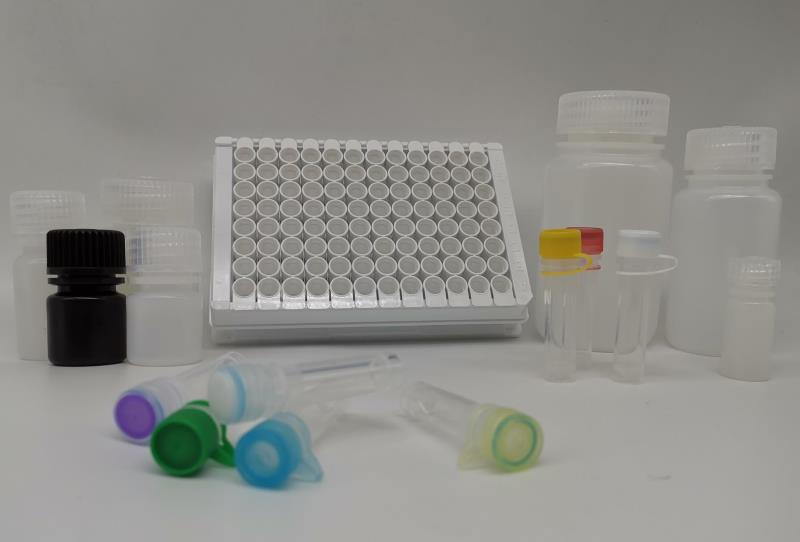贝兰伯/Bioland_PW06-1SD_Bioland™ 单孔可拆酶标板|检测板_Bioland? 单孔可拆酶标板；白色；高结合力；C型底；10个/包；100个/箱