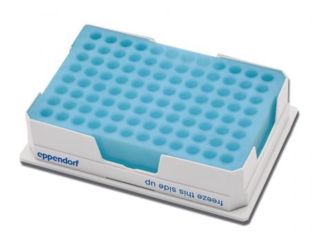 Eppendorf/艾本德_3881000031_PCR-Cooler (0.2 mL) 低温指示冰盒_0.2mL