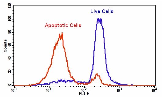 Cell Meter 细胞内谷胱甘肽GSH检测试剂盒 适合流式细胞检测     货号22810