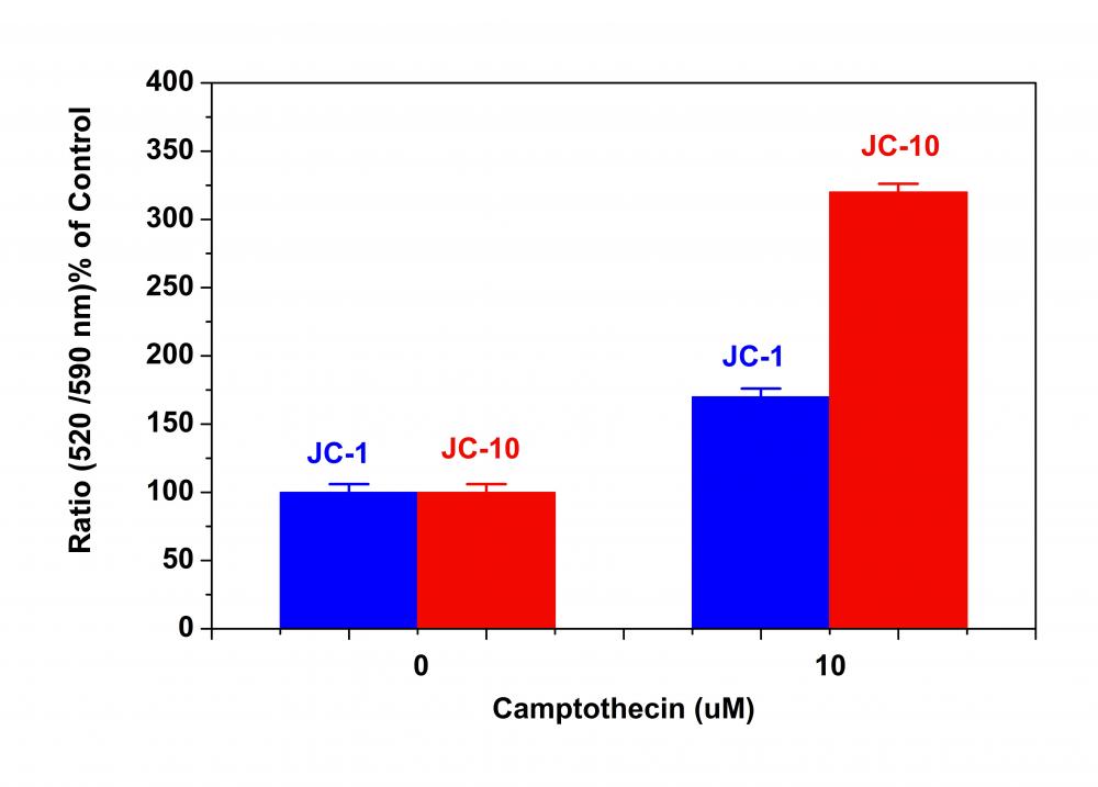 Cell Meter JC-10线粒体膜电位检测试剂盒 适合微孔板检测     货号22800
