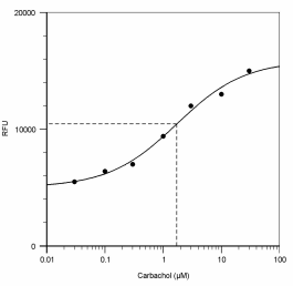 Cell Meter 荧光法细胞内pH检测试剂盒     货号21180