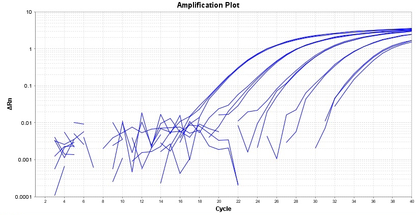 TAQuest FAST qPCR Master Mix 用于TaqMan探针*低ROX*    货号17291