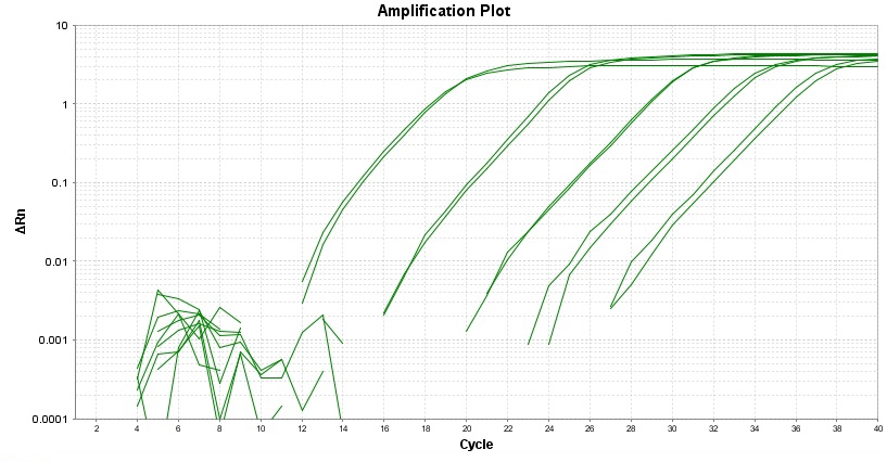 TAQuest FAST qPCR Master Mix with Helixyte Green *低ROX*    货号17278